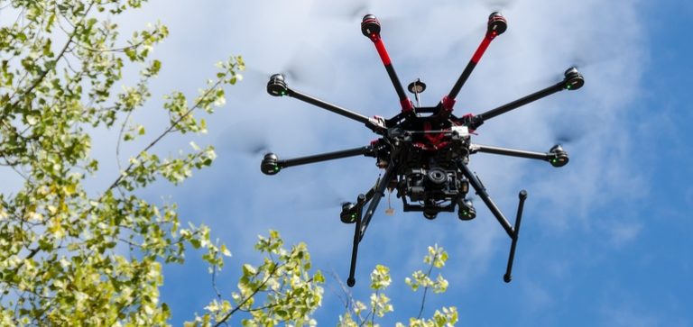 Drone hovering in the sky above a tree